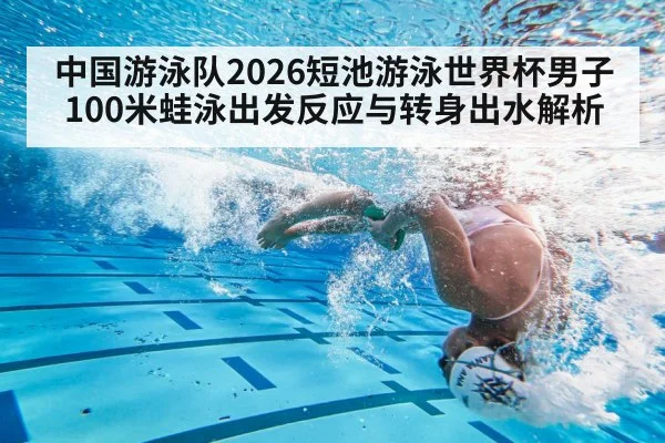 中国游泳队2026短池游泳世界杯男子100米蛙泳出发反应与转身出水解析